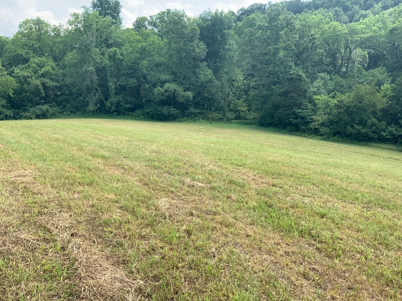 1915 Mount Zion Rd, Frankfort, KY 40601